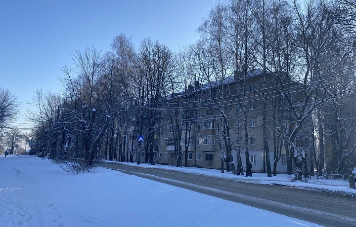 Фото: Тульская служба новостей