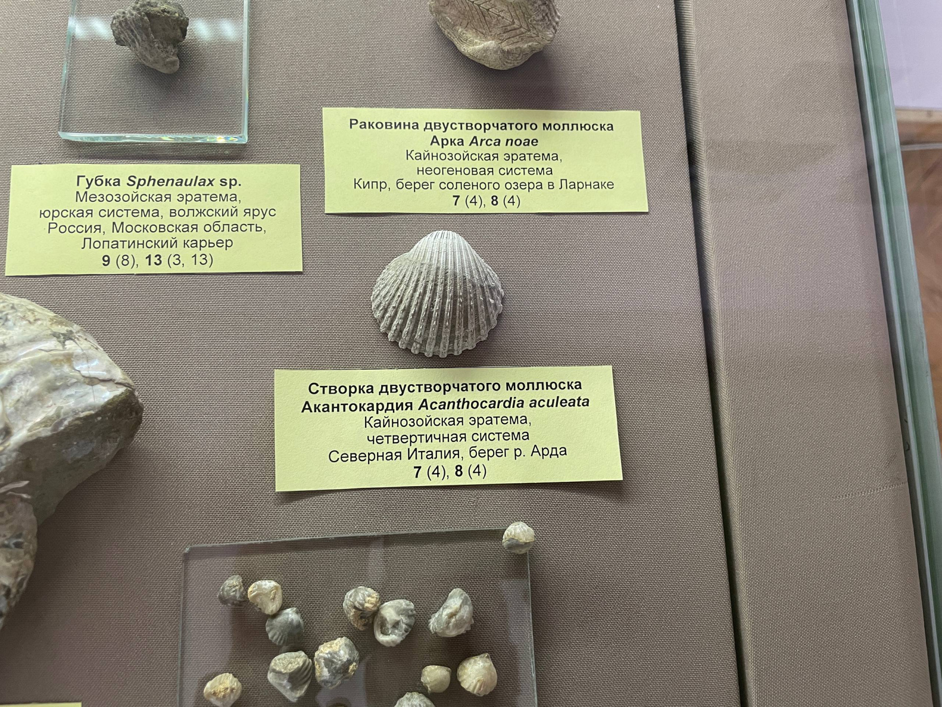 Фото: Тульская служба новостей