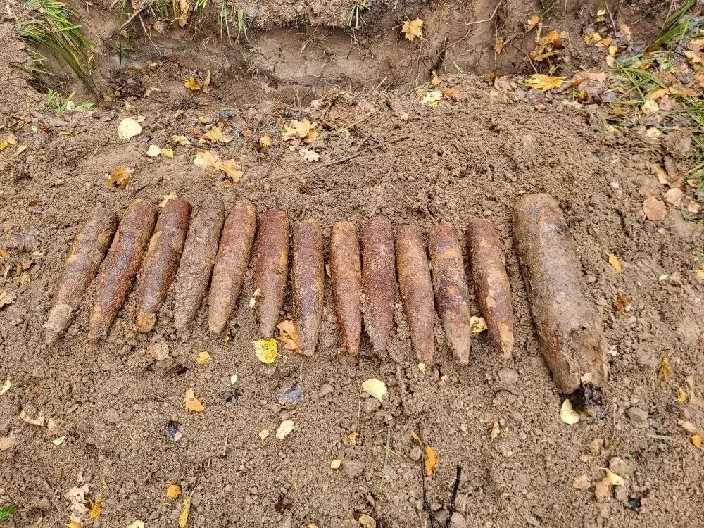 Фото: Управление противопожарной службы Тульской области