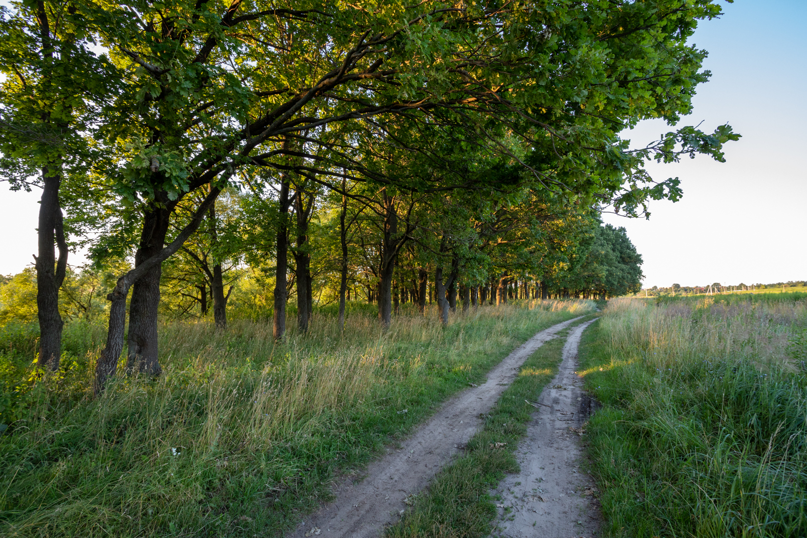 Фото из архива ТСН24