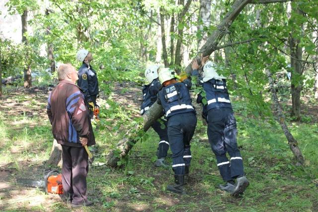 В Туле прогнозируют смерч: в 2013-м он уже бушевал в Ефремове – к чему готовиться? 