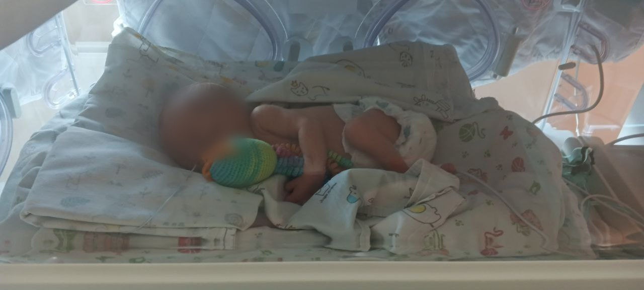 Фото: Тульская служба новостей