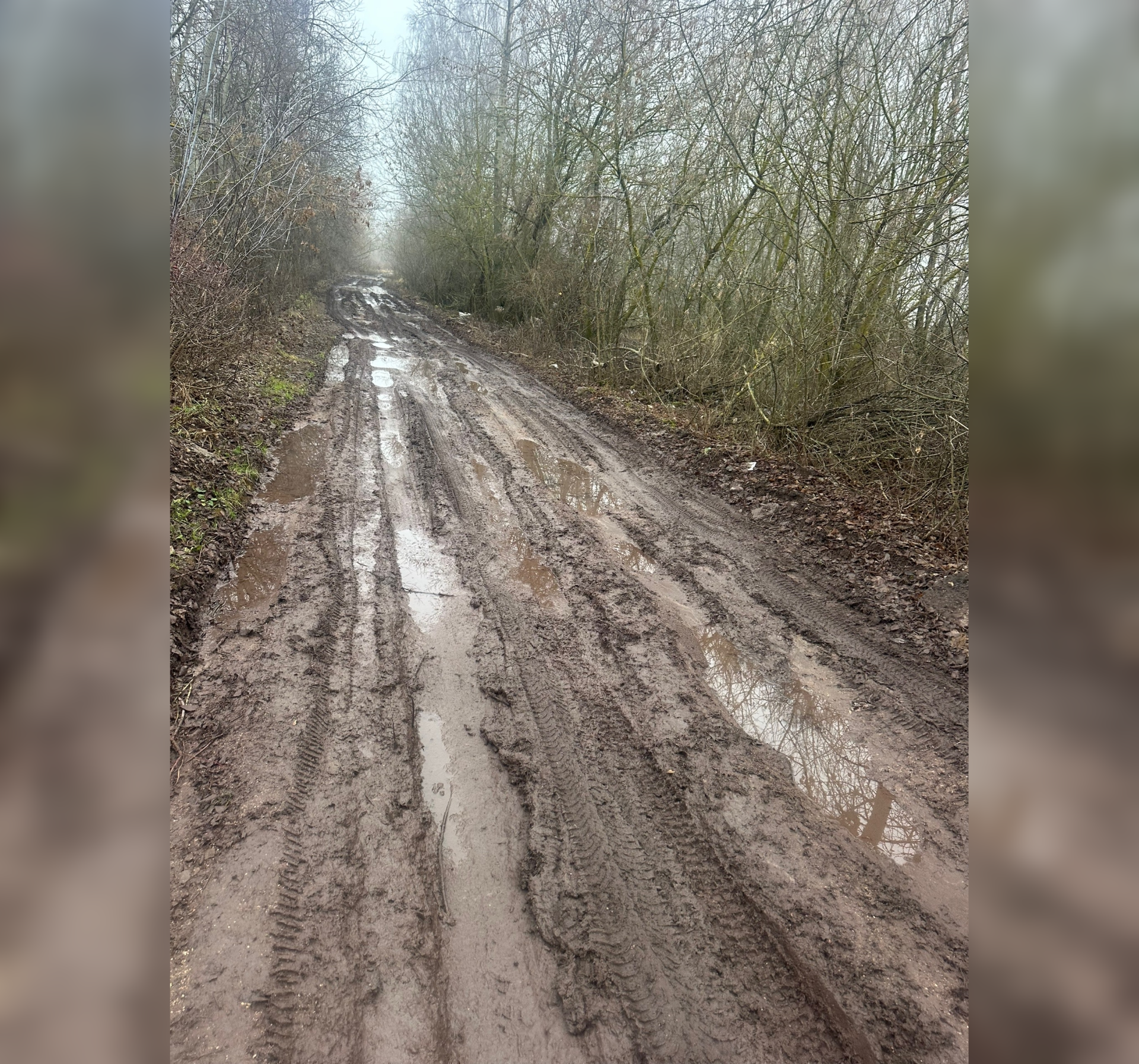 Фото от местного жителя