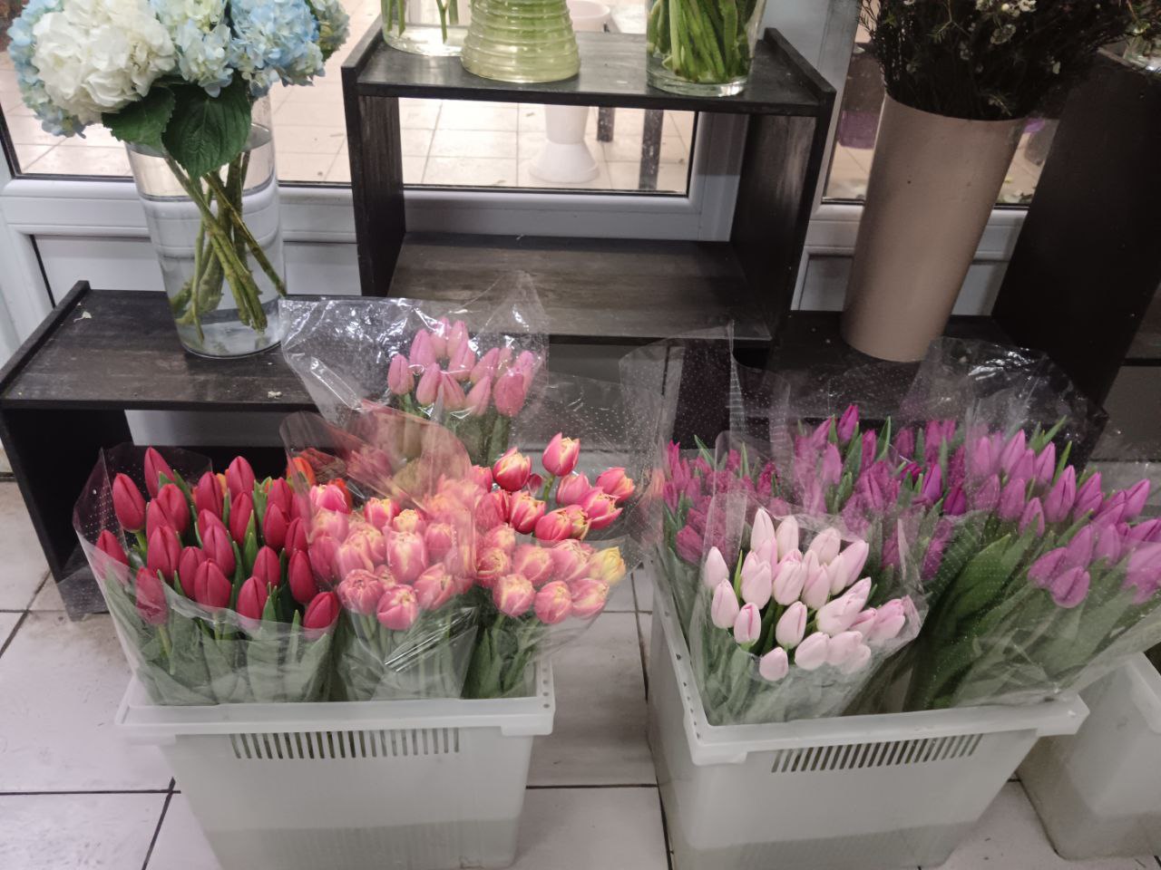 Фото: Тульская служба новостей