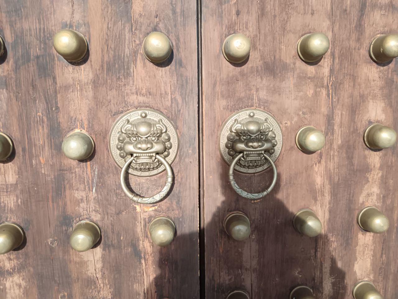 Фото: Тульская служба новостей