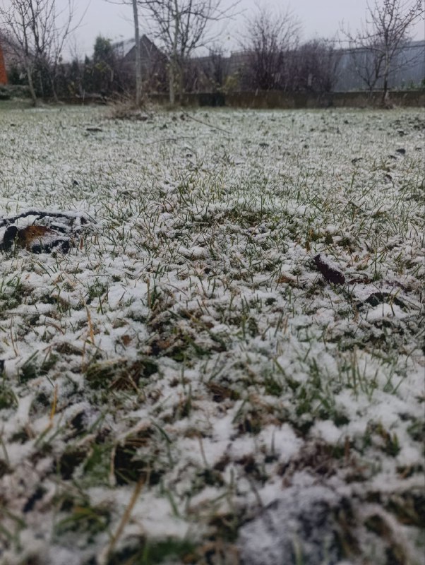 Фото: Тульская служба новостей