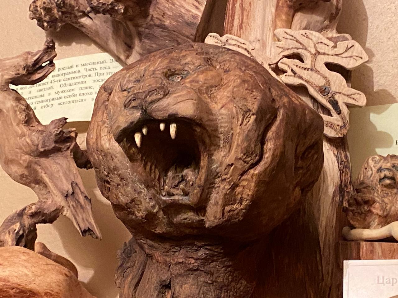 Фото: Тульская служба новостей