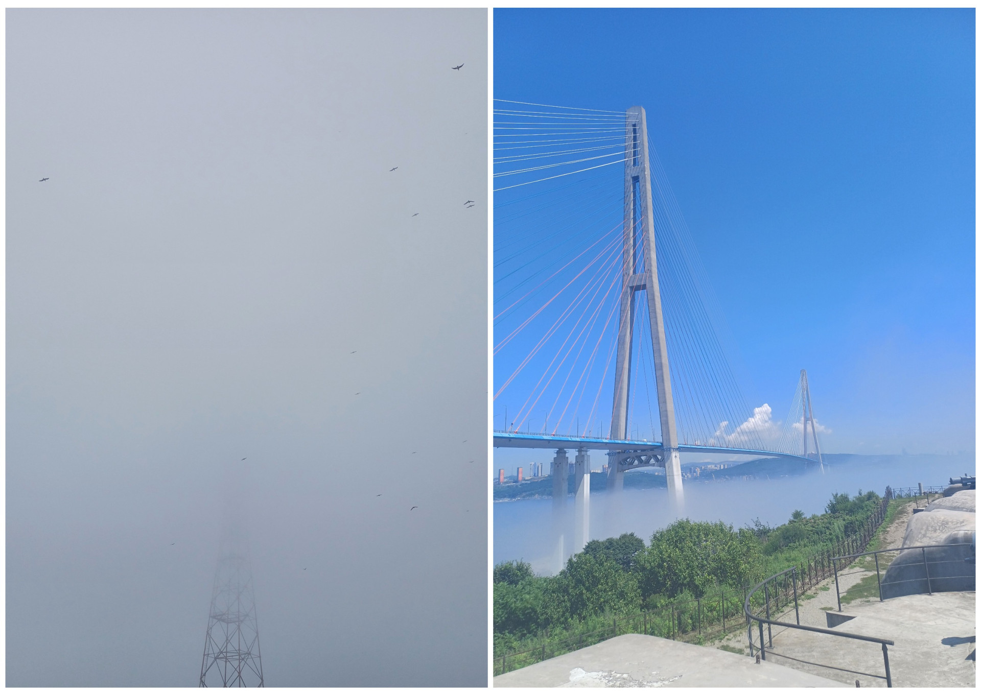 Фото: Екатерина Карпенко