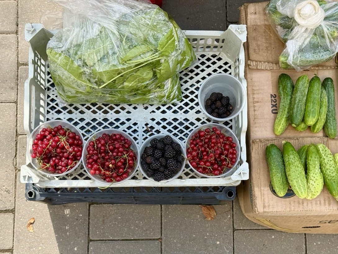 Фото: Тульская служба новостей