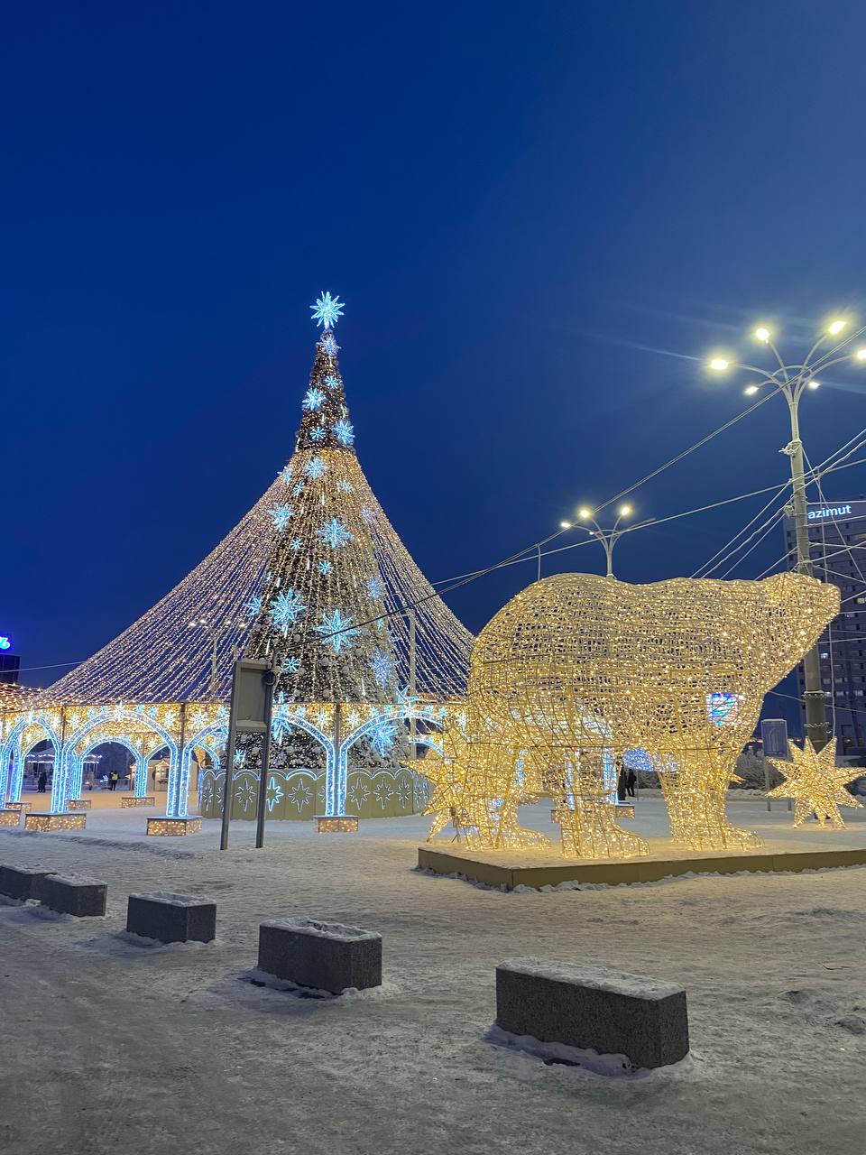 Фото: Тульская служба новостей