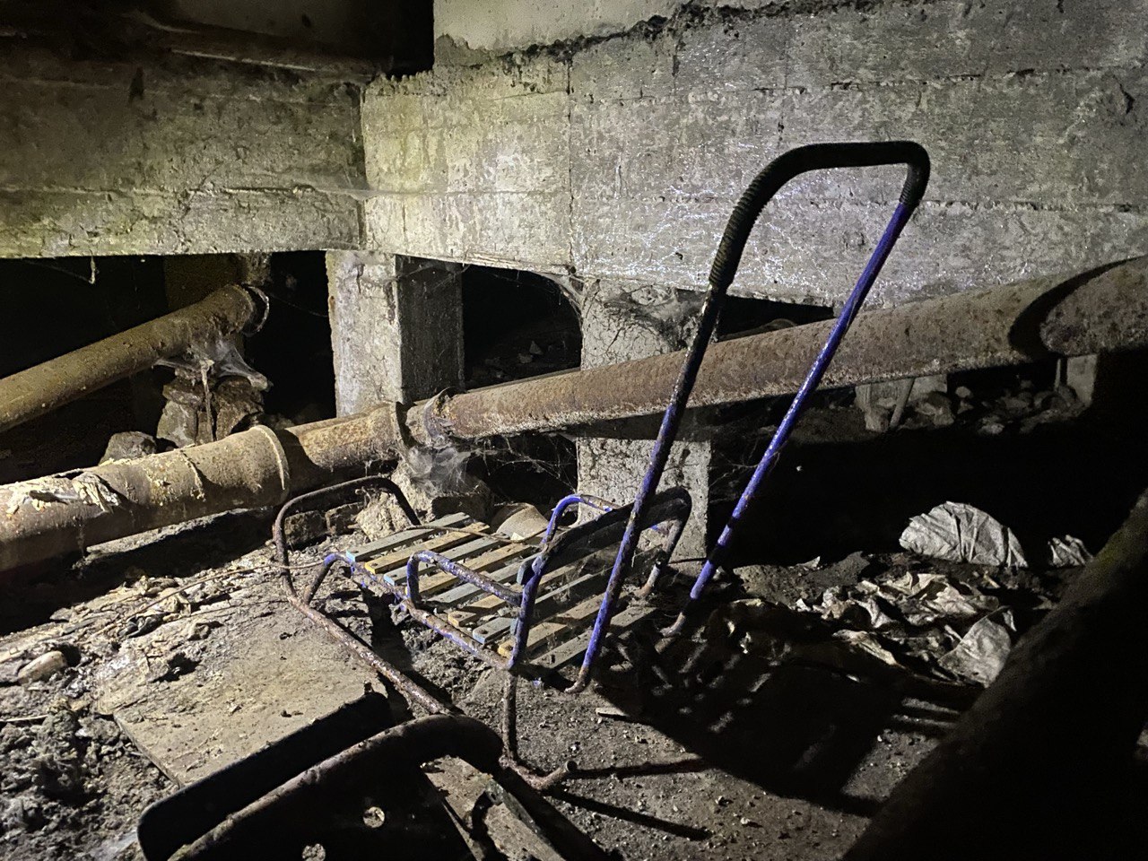 Фото: Тульская служба новостей