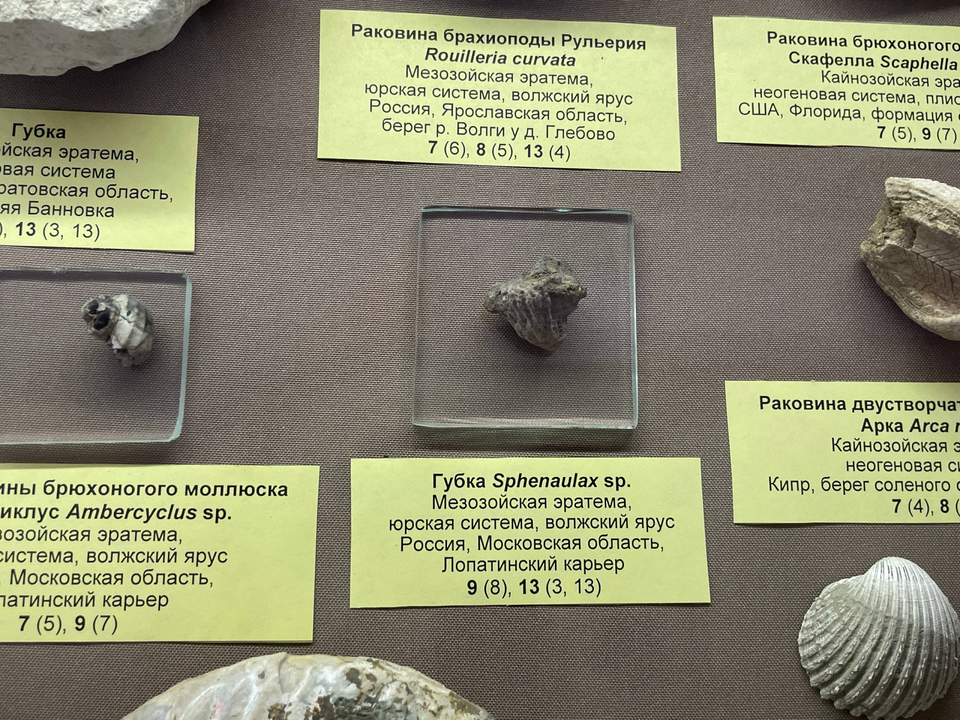 Фото: Тульская служба новостей