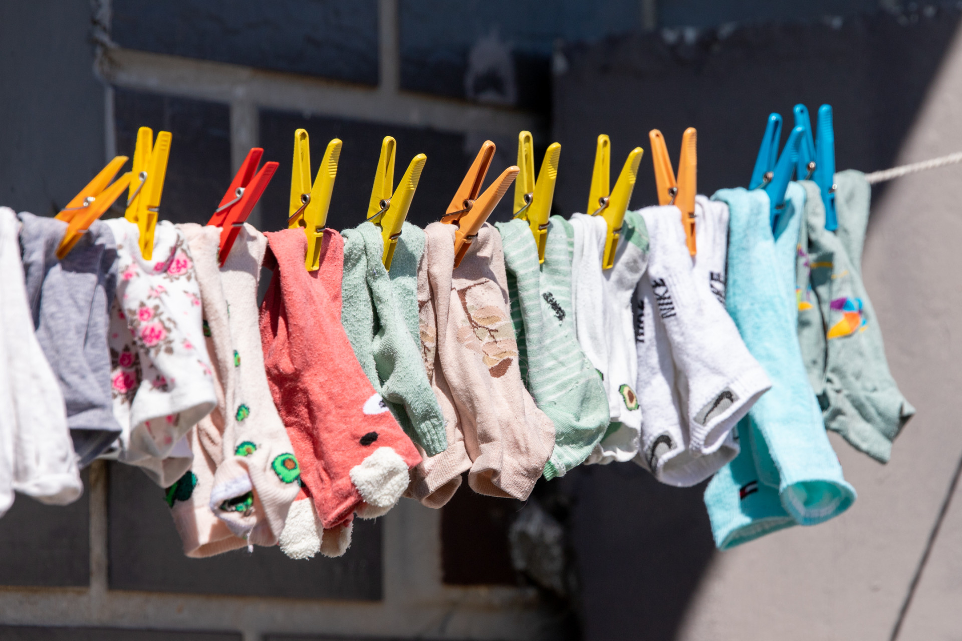 Фото из архива ТСН24