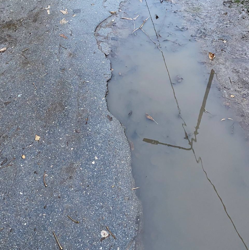 Фото: Тульская служба новостей