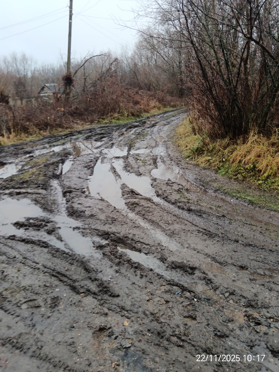 Фото предоставлено местными жителями.