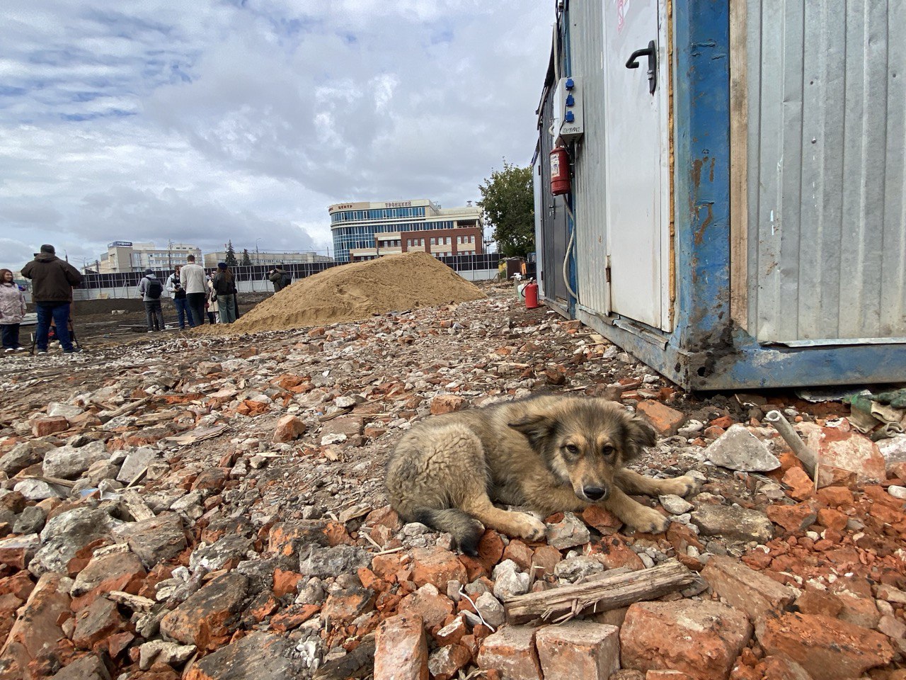Фото: Тульская служба новостей