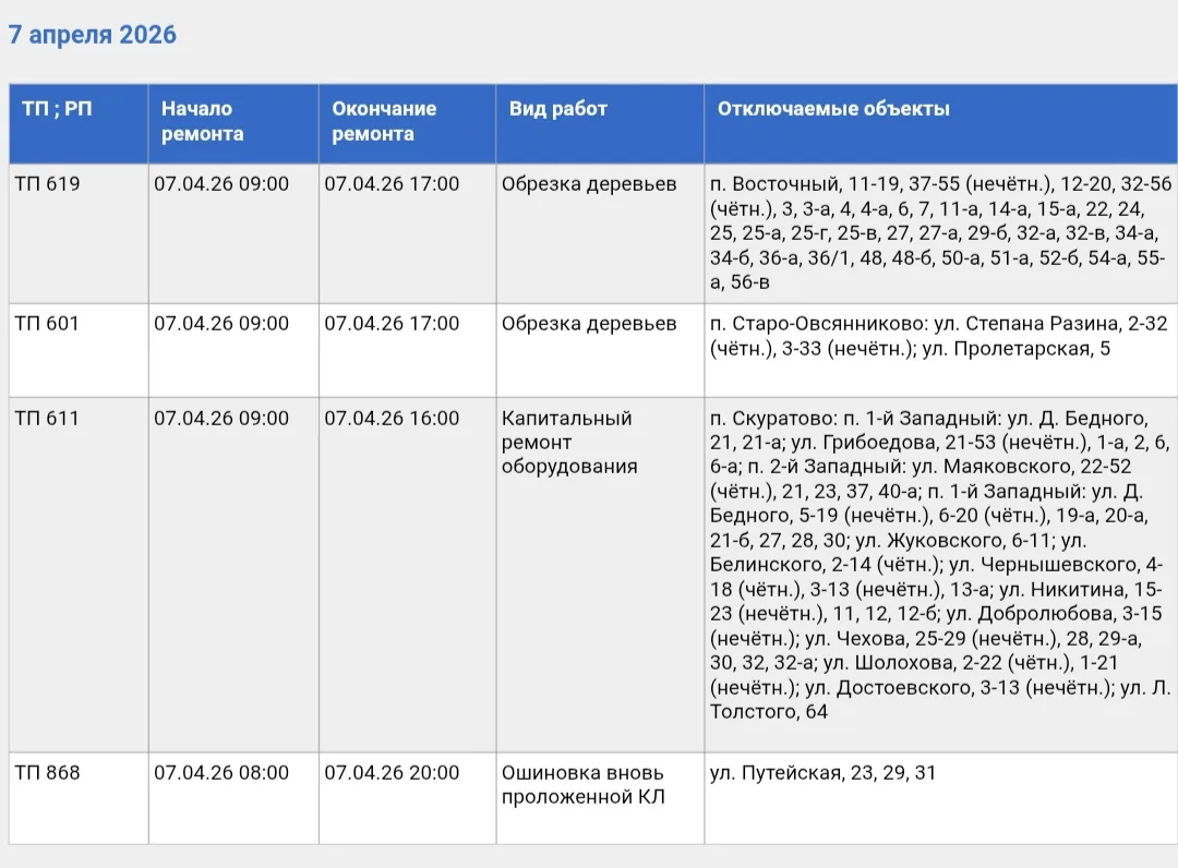 Фото: Тульские городские электрические сети