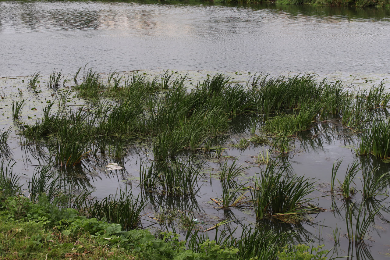 Фото: Тульская служба новостей