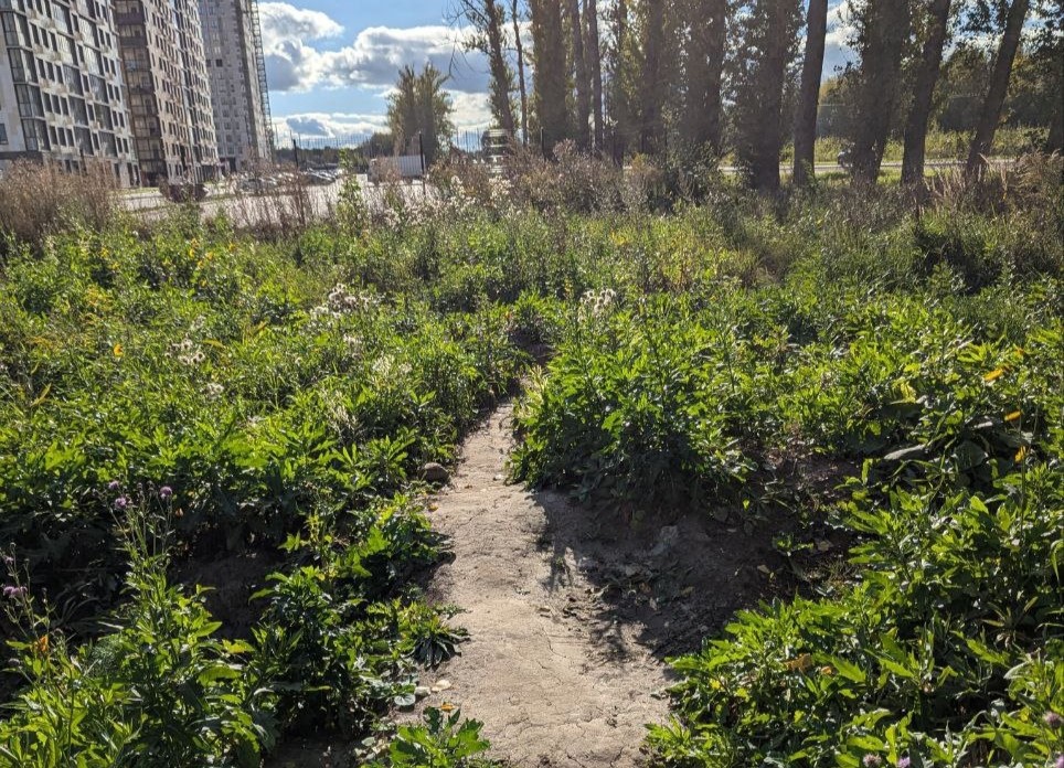 Фото предоставлено жителями поселка