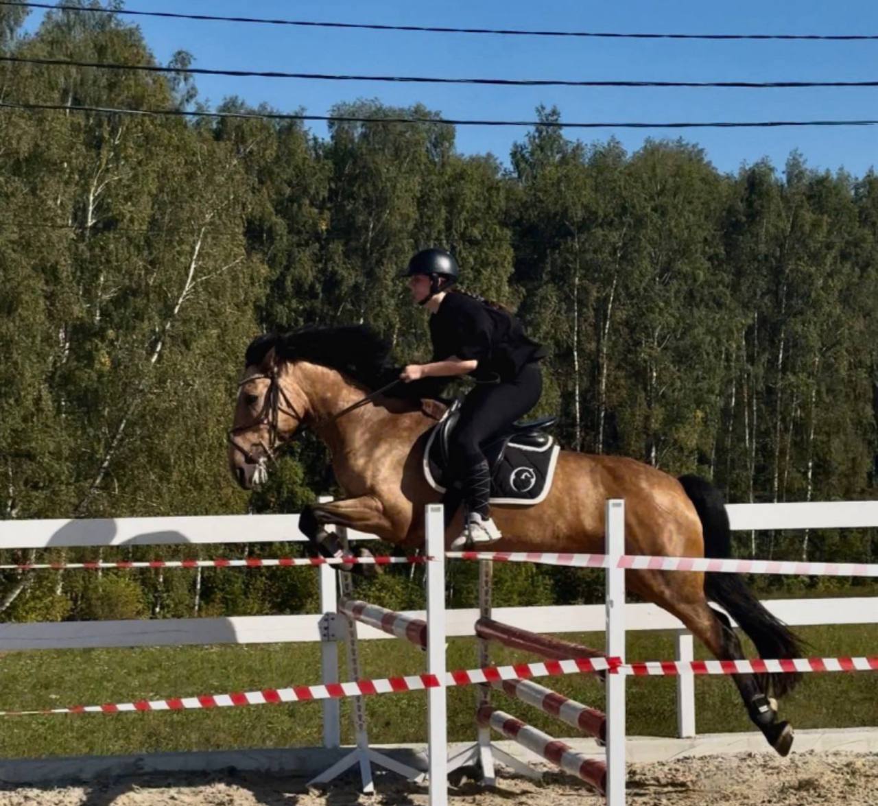 Фото: Тульская служба новостей