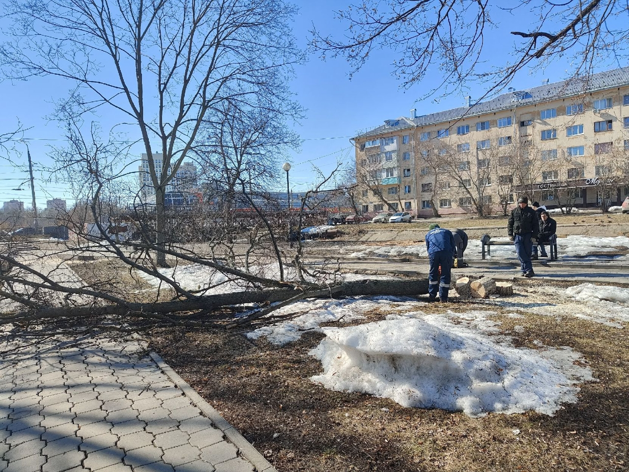 Фото: Тульская служба новостей
