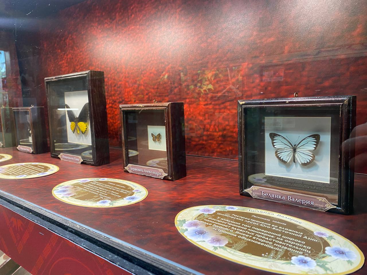 Фото: Тульская служба новостей