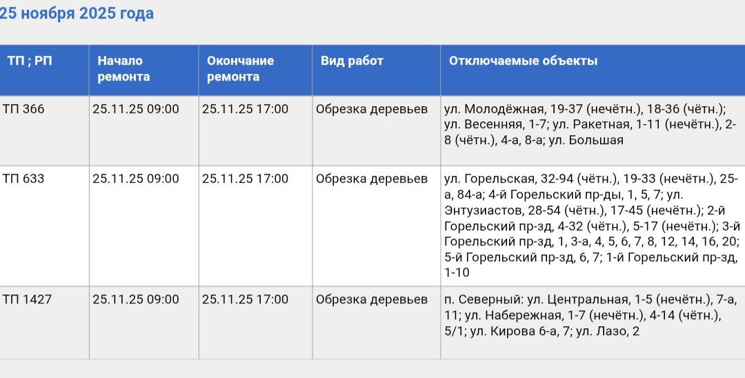 Фото: Тульские городские электрические сети