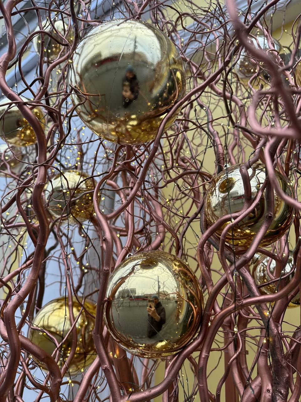 Фото: Ирина Деревянко