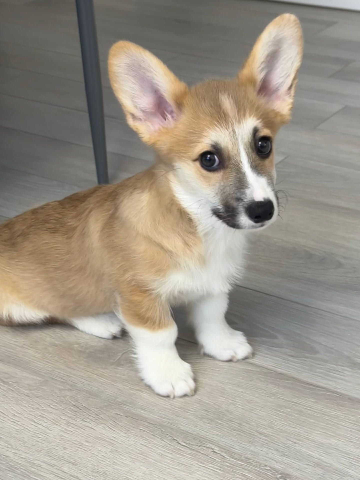 Фото предоставлено Людмилой Зеленковой.