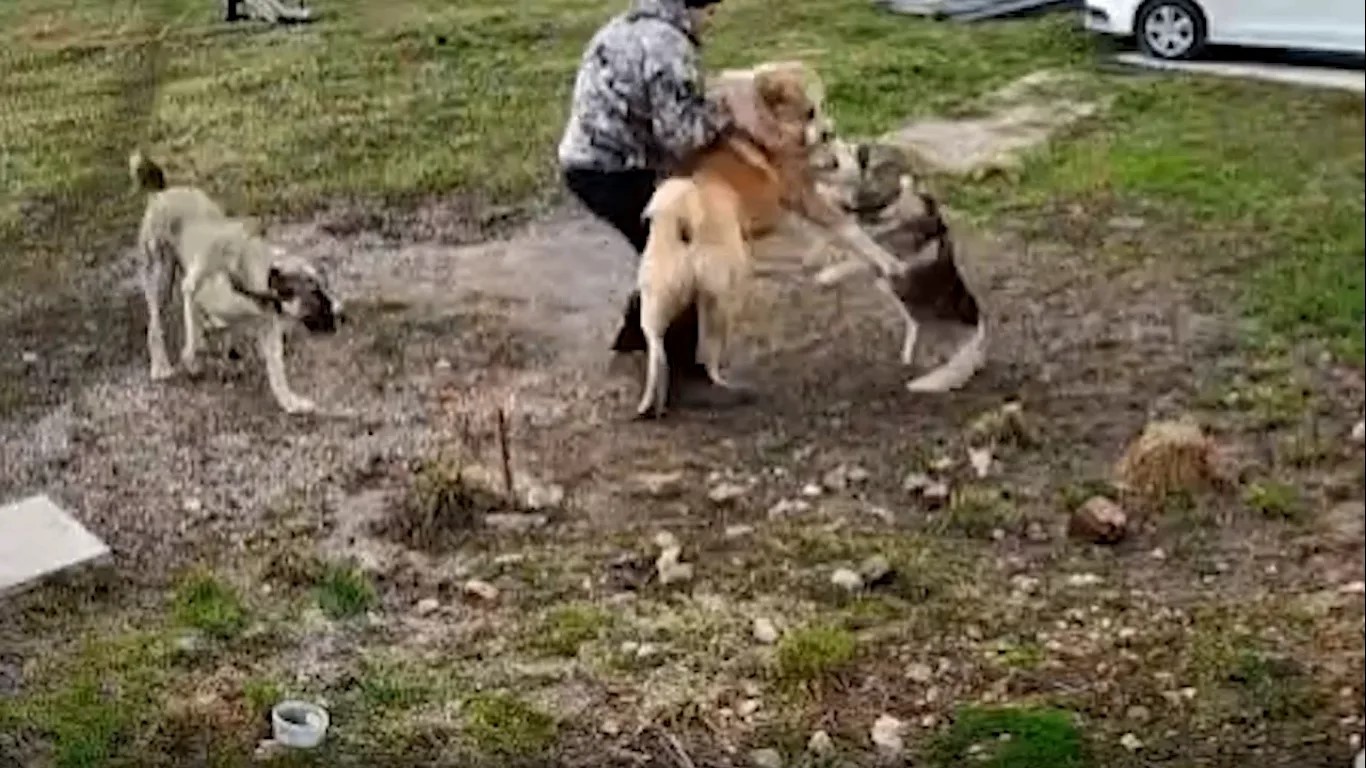 Фото предоставлено читателем