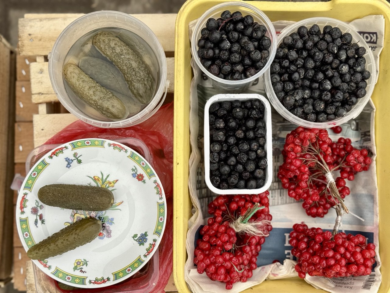 Фото: Тульская служба новостей