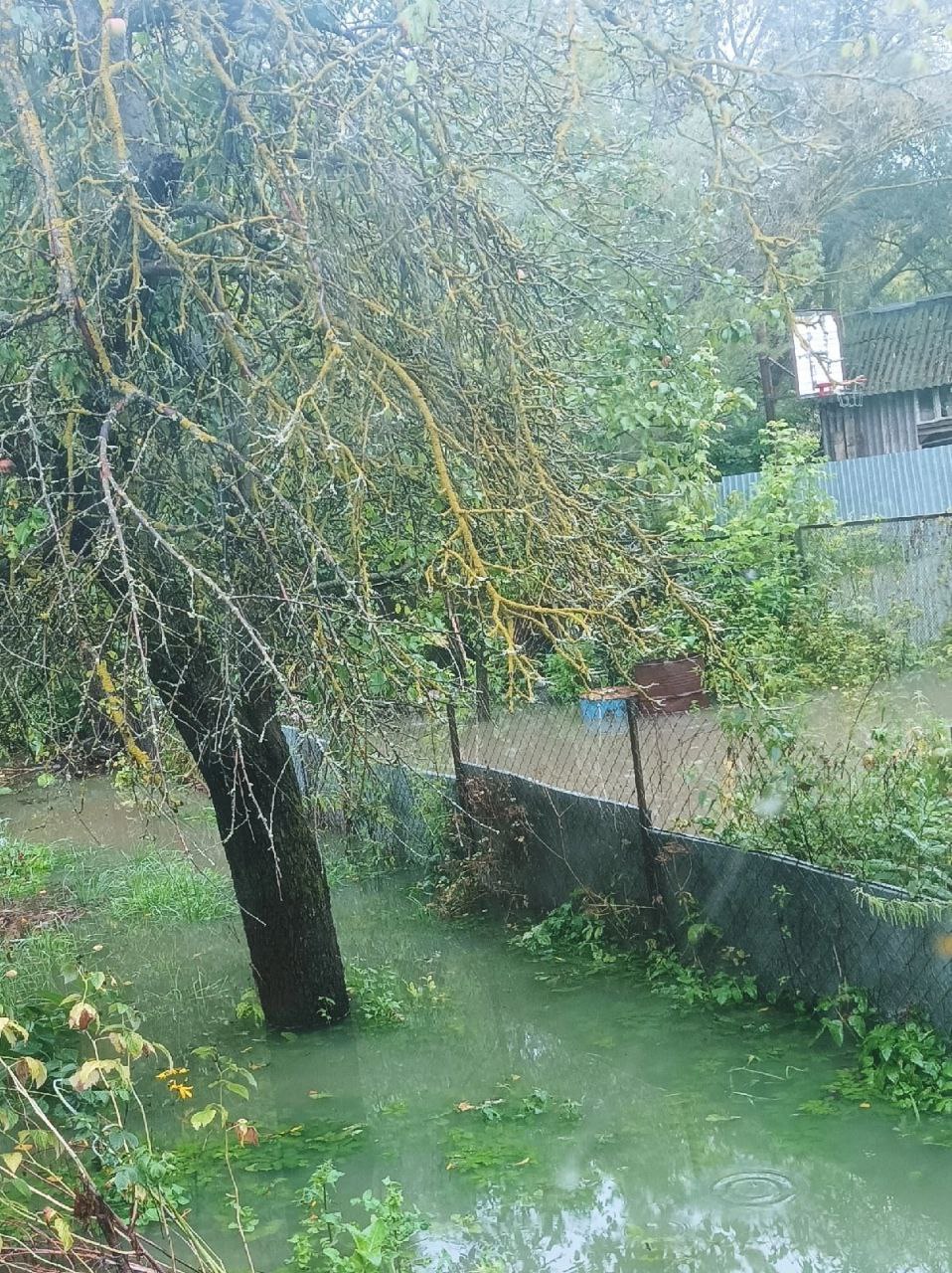 Фото: Тульская служба новостей