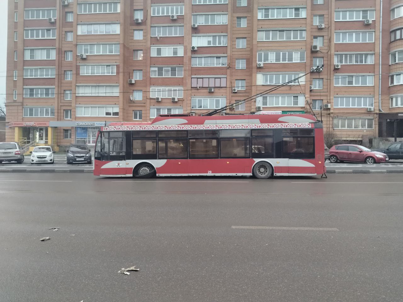 Фото: Тульская служба новостей