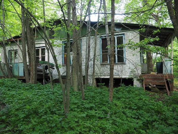 Москвичи за 27 миллионов продают заброшенный лагерь «Огонек» под Тулой Москвичи за 27 миллионов продают заброшенный лагерь «Огонек» под Тулой