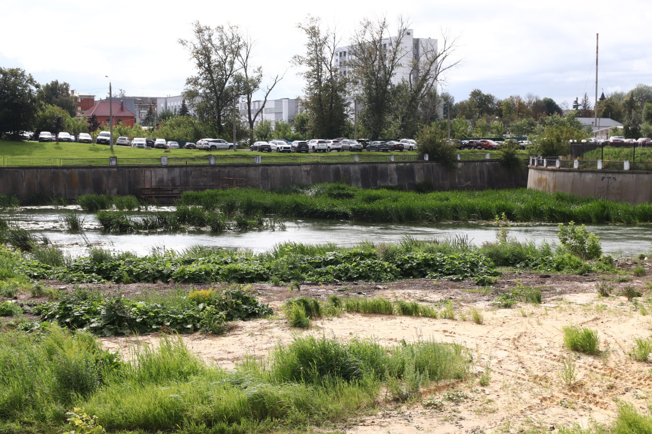 Фото: Тульская служба новостей