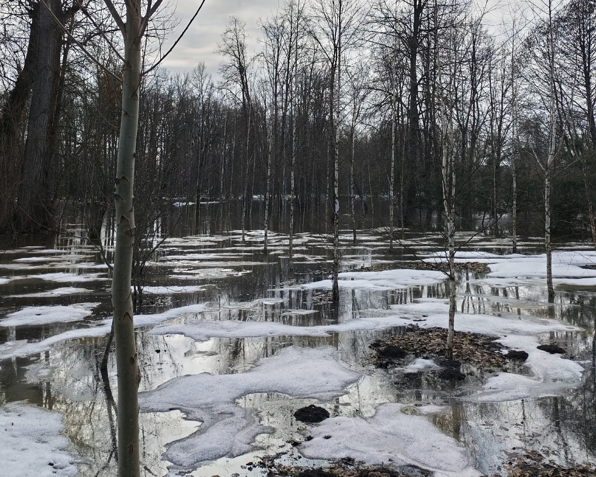 Фото: Тульская служба новостей