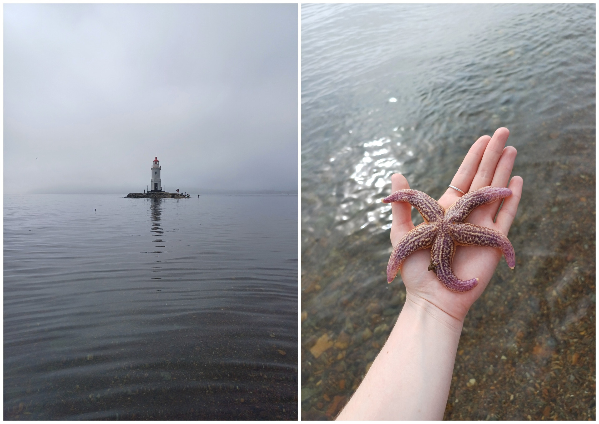 Фото: Екатерина Карпенко 