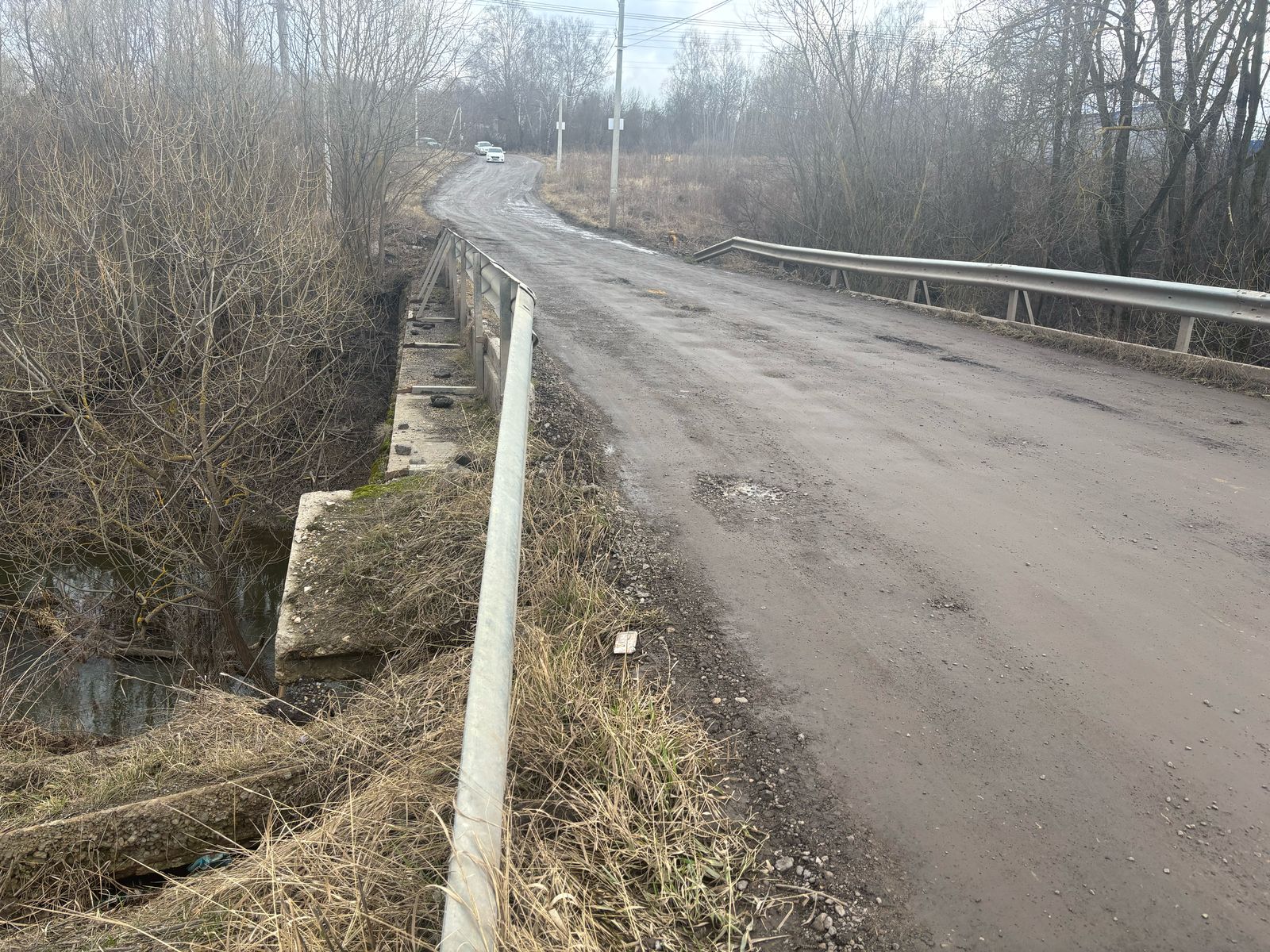 Фото: Тульская служба новостей 