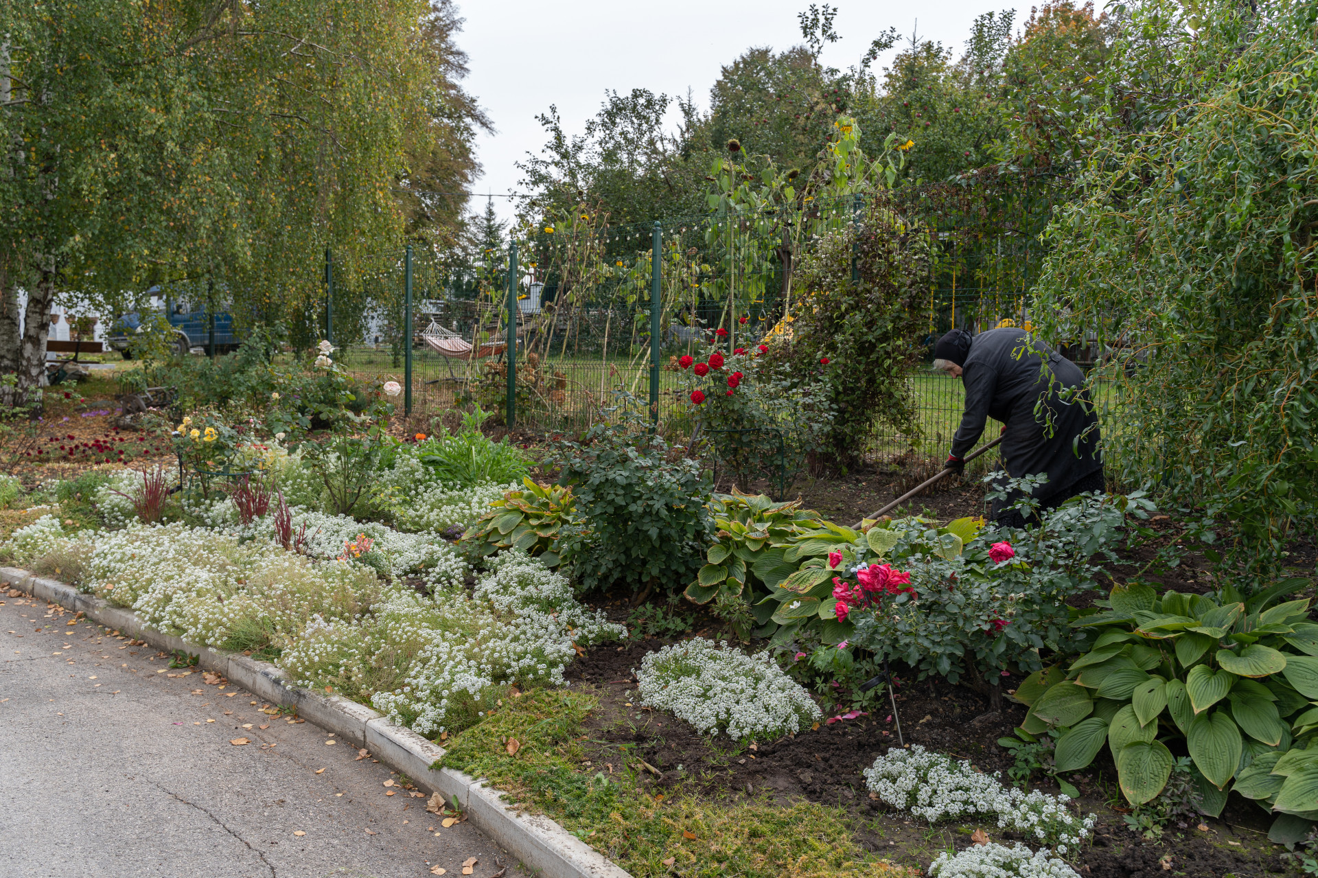 Фото: Тульская служба новостей