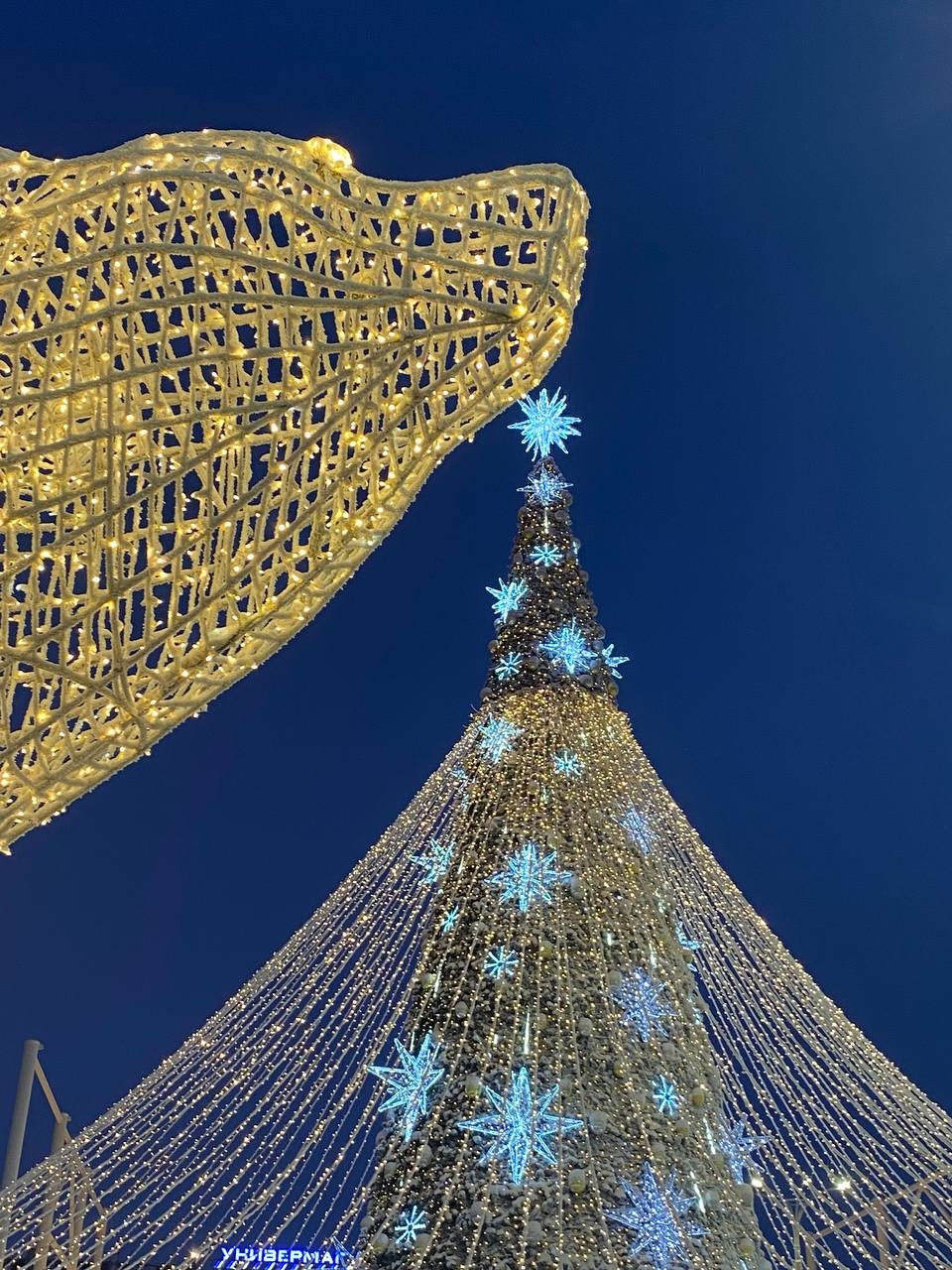 Фото: Тульская служба новостей