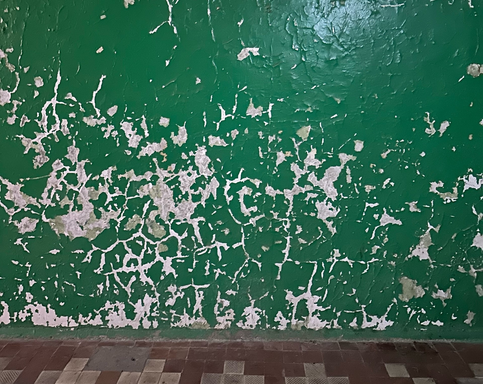 Фото: предоставлено жильцами дома