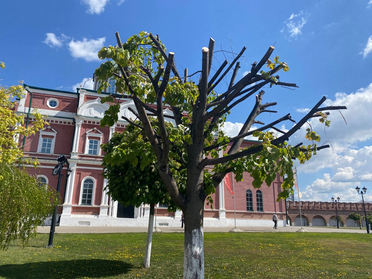 Фото: Тульская служба новостей