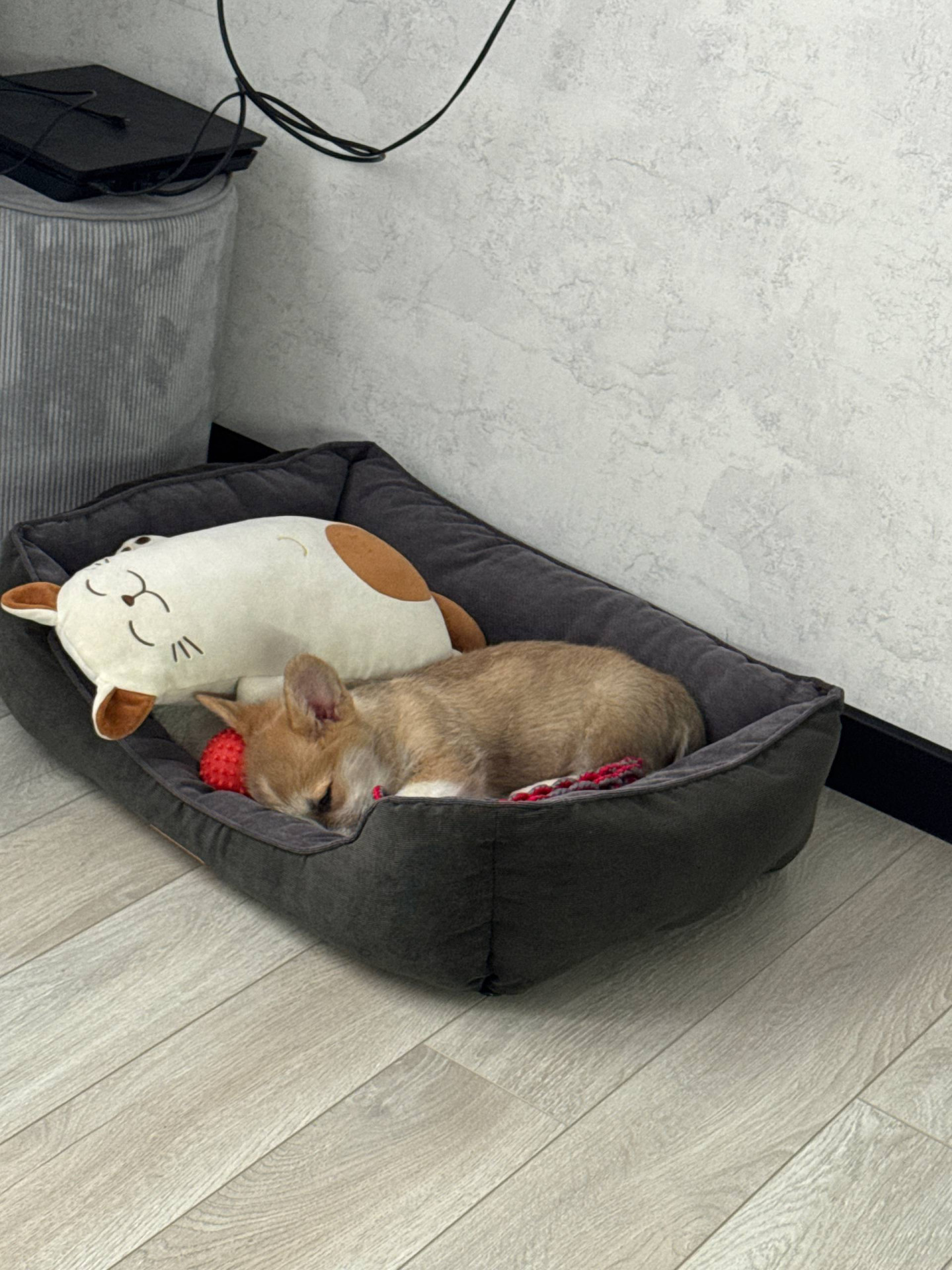 Фото предоставлено Людмилой Зеленковой.