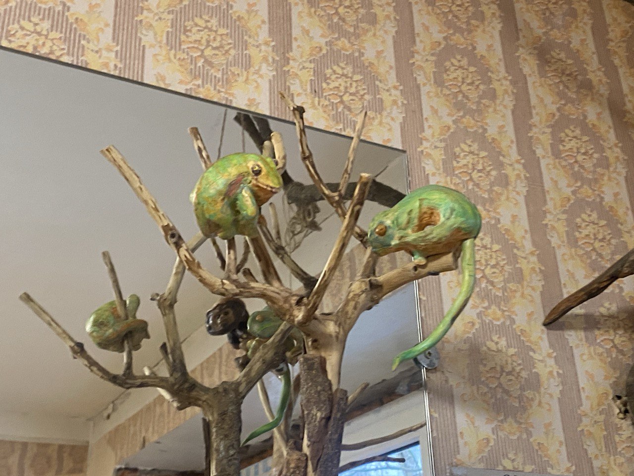 Фото: Тульская служба новостей