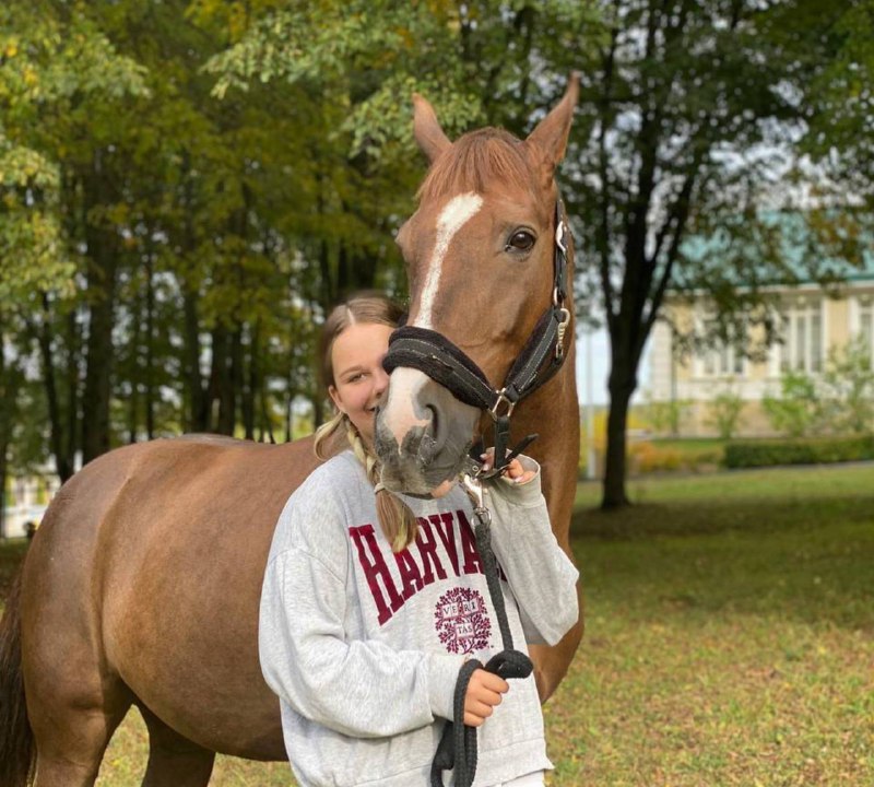 Фото: Тульская служба новостей