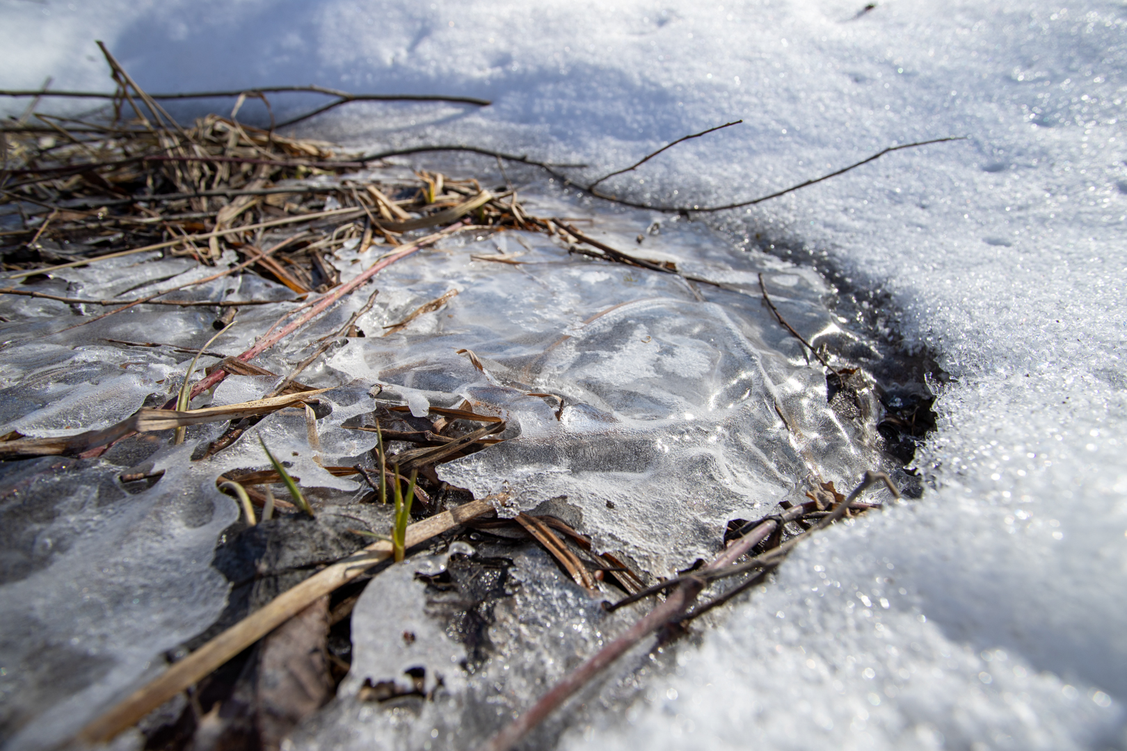 Фото из архива ТСН24