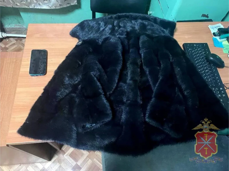 Фото: УМВД России по Тульской области