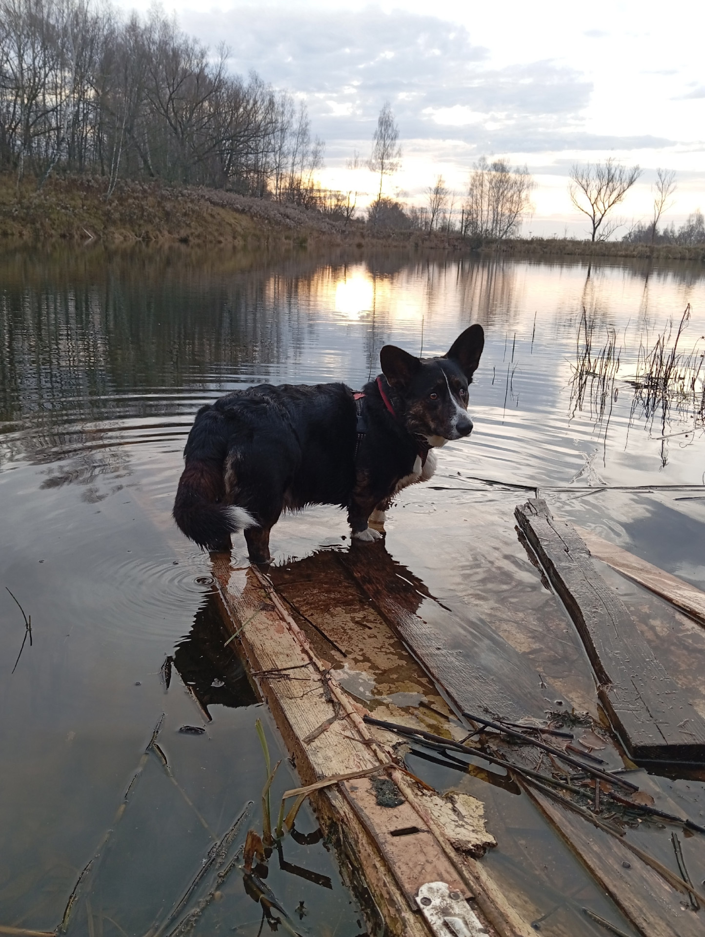 Фото предоставлено Анастасией Калининой.