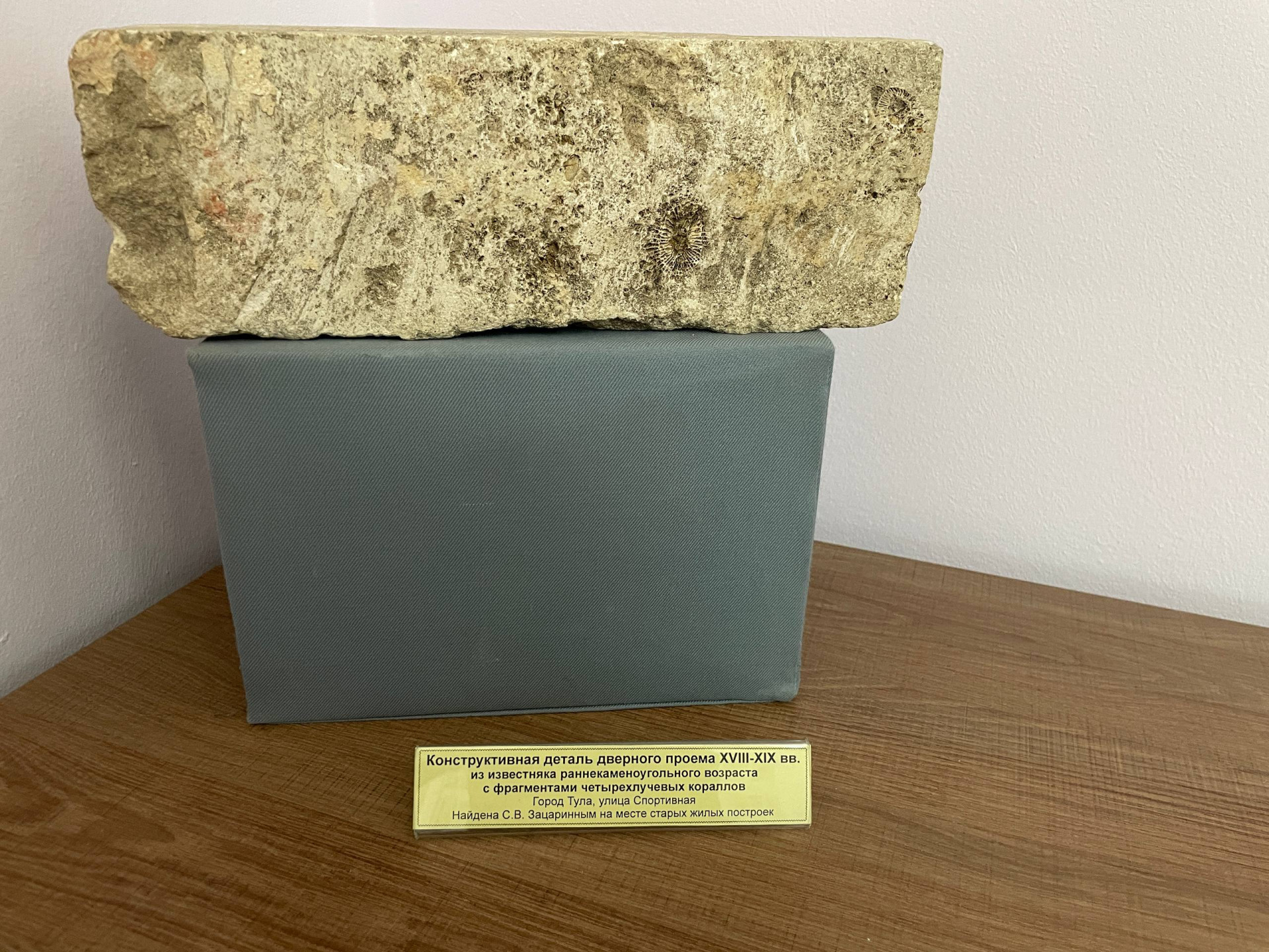 Фото: Тульская служба новостей