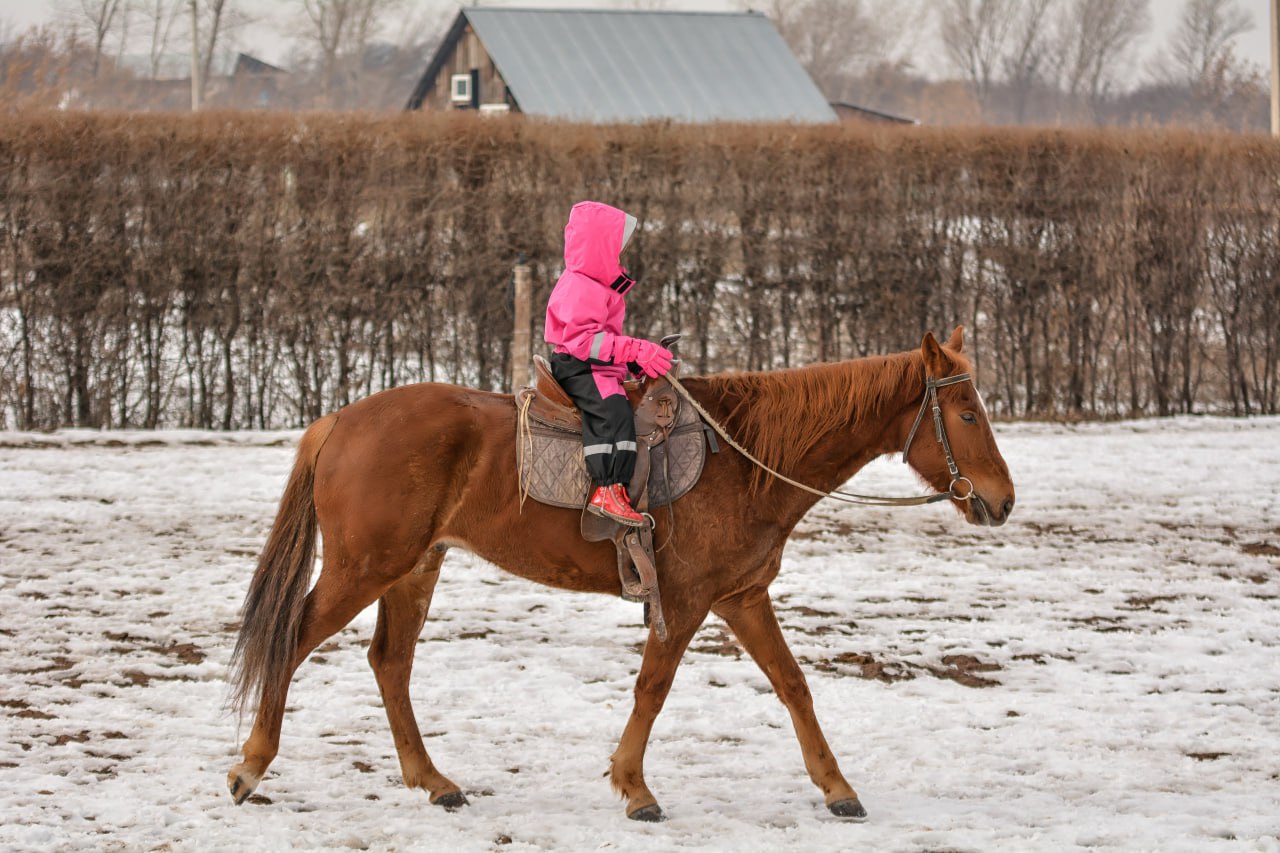 Фото: freepik.com